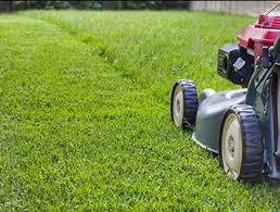 Log In Needed 1 234 Lawn Cutting Services