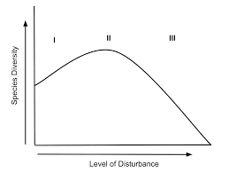 However, it is more spread out and. Intermediate Disturbance Hypothesis Wikipedia