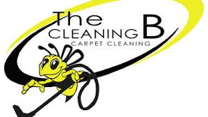 carpet cleaners in lexington nc