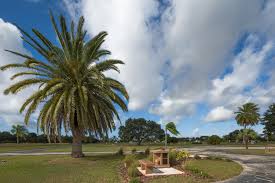 royal palm memorial gardens
