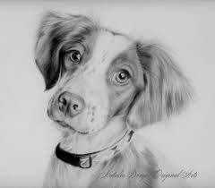 Take note that the dog's nose is protruding so when drawing the nose in this view, position it slightly on the left. Custom Portrait Animal Pet Portrait Dog Cat Puppy Pencil Drawing Face Little Friend Family Special Gift Dog Drawing Pet Portraits Dog Face Drawing