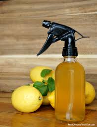how to make citrus vinegar for cleaning
