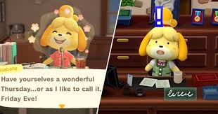 crossing every job isabelle has had