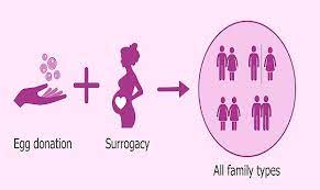 Surrogacy comes with much of the same physical symptoms and challenges as a traditional pregnancy. Commercial Surrogacy The Regulation Bill Law Times Journal