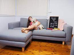 The Koala Sofa Review Everything You