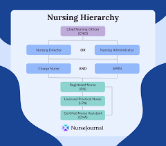 a guide to the nursing hierarchy