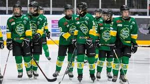 Björklöven had battled all the way to the final, but then the pandemic struck and the final series had to be played in empty arenas. U16 Tryout Sasongen 2019 2020 If Bjorkloven Svenskalag Se