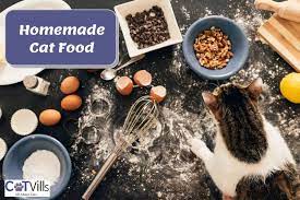 homemade cat food benefits risks and