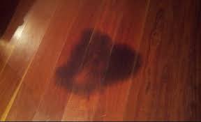 Black Urine Stains From Hardwood Floors