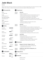 Server Resume With Examples Of Skills Job Description
