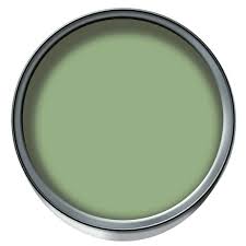 wall color olive green relaxes the