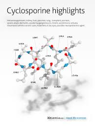 Cyclosporine-A-highlights-immunosupresant-drug-protein-D-alanine-3d-ciencia-structure-ciclosporina-inmunosupresor  | Flagellum. Impulsando la comprensión de la ciencia.