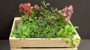 Self Watering Herb Planter Box
