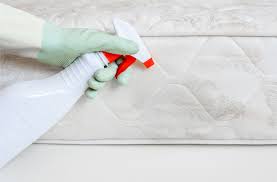 how to get rid of mold on your mattress
