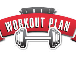 free workout plan mivejoes