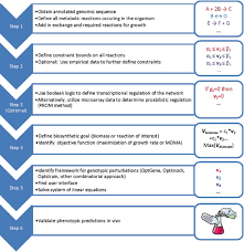 Flow Chart For Constructing A Genome Scale Metabolic Model