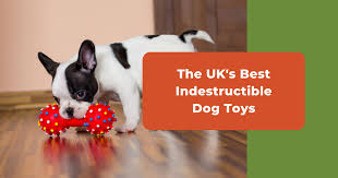 the uk s most indestructible dog toys