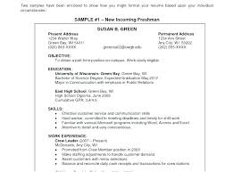 Career Objective Examples For Student Resume Sales Example Of In
