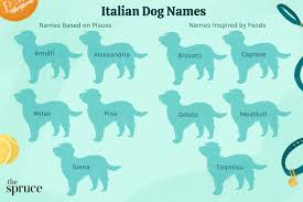 75 italian dog names