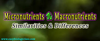 difference between micronutrients and