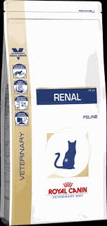 She got 2.61 from test. Royal Canin Renal Dry Cat Food 2kg Petsegypt Com