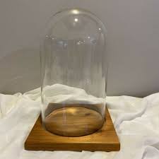 Antique Glass Dome On Wooden Base