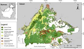 The state government adheres to and is created by both the federal constitution of malaysia, the supreme law of malaysia, and the constitution of the state of sabah, t. Integrating Sunda Clouded Leopard Neofelis Diardi Conservation Into Development And Restoration Planning In Sabah Borneo Sciencedirect
