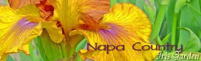 napa country iris garden iris garden