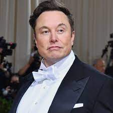 Elon Musk denies he sexually harassed attendant on private jet in 2016 | Elon  Musk
