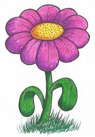 simple flower drawing tutorial the
