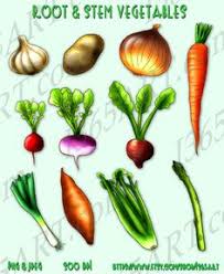 7 Best Stem Vegetables Images Vegetables Prepping Cooking