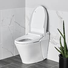 How To Install A Toilet Seat The Home