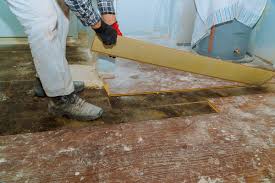 remove mold under hardwood floors