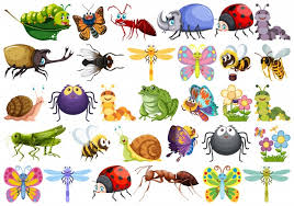 Insect Vectors Photos And Psd Files Free Download