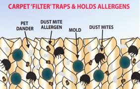 can carpet cleaning cause allergies