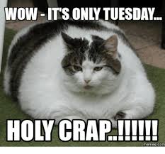 Go through some funny memes, graphics, and sayings about tuesday to share on with your colleagues on facebook, pinterest. 100 Funny Tuesday Memes Pictures Images For Motivation