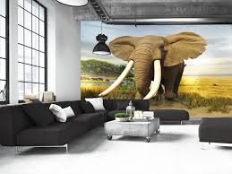 elephant wall mural photo wallpaper