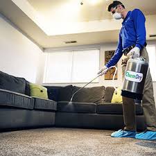 carpet cleaning in tyler tx