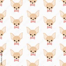 seamless vector pattern with chihuahua