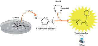 The Reaction Of Phenol Sulphuric Acid