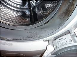 Maybe you would like to learn more about one of these? Why Your Front Loading Washing Machine Can Make You Sick From Toxic Mold Indoordoctor