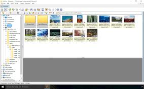 Best photo viewer, image resizer & batch converter for windows. Xnview Extended Download
