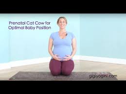Pregnant woman single continuous line art. Prenatal Cat Cow Yoga For Optimal Baby Positioning Youtube
