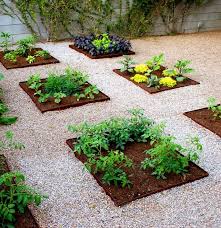 Vegetable Garden Ideas Landscaping