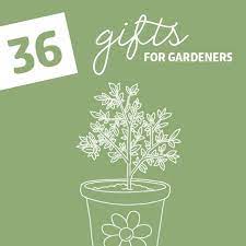 36 gifts for gardeners with the green