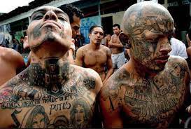 These are truths that no one disputes. Video Ms13 Has A Stranglehold On El Salvador Costa Rica Star News