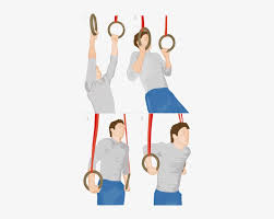 beginner gymnastic ring exercises