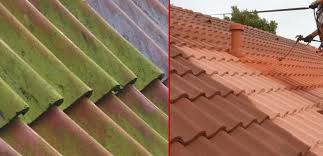 Roof Paint For Tiles Tiles