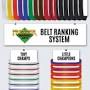 lowest to highest belt in taekwondo from googleweblight.com