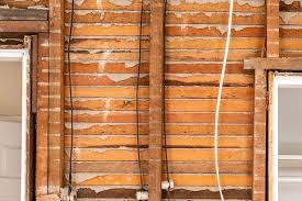lath and plaster walls basics and